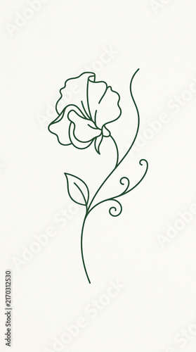 Minimalist single line art drawing of a sweet pea flower with stem and leaves
