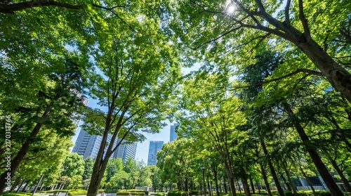 Looking upward through a lush urban tree canopy with blue sky and sunlight, surrounded by modern buildings, symbolizing urban forests, clean air, sustainability and greener cities.