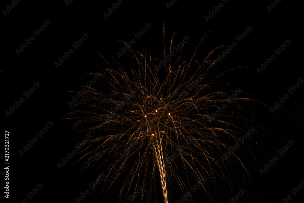 Fototapeta premium Golden fireworks sparkling and exploding brilliantly in the dark night sky during a summer festival celebration