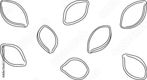 Pumpkin Seed Vector Line Art Outline Drawing