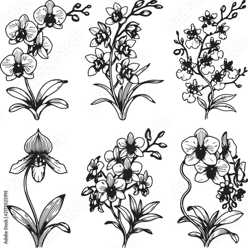 set of floral elements