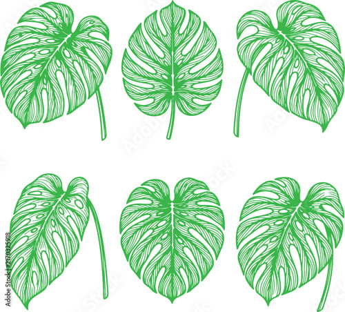 set of green leaves