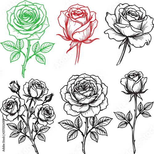 set of roses vector