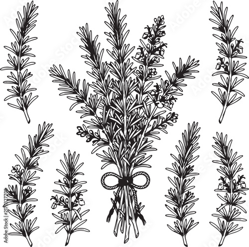 black and white background