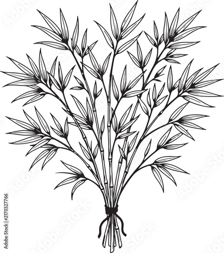 branch of a tree with leaves