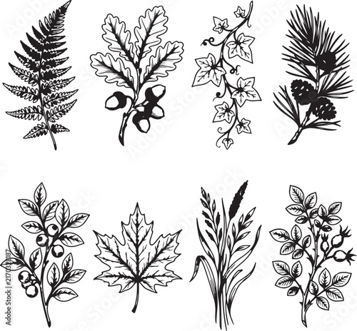 set of black silhouettes of trees