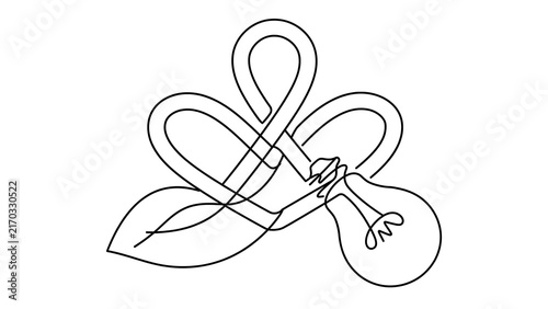 Elegant ribbon bow with leaf white background.