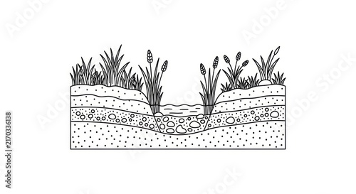 Photography Soil layers with grass and plants.