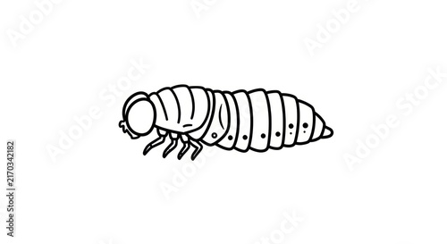 Foto Insect Larva Exoskeleton Detailed Drawing.