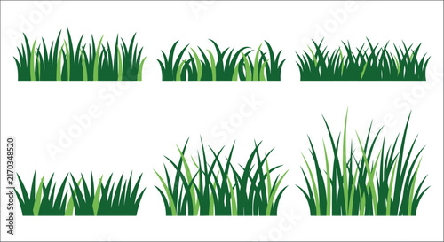 Photography Varied arrangements of green grass blades are displayed against a white backgrou