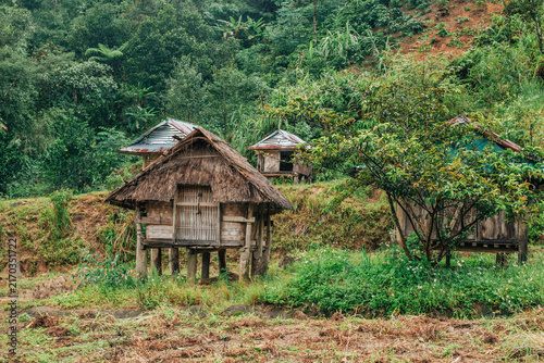 Фотография Traditional raised hut with a thatched roof among rustic wooden homes and tropic