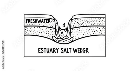 Fotografie Estuary Salt Wedge Diagram Illustration.