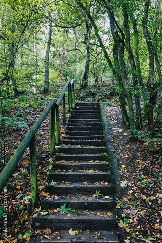 Photograph of a wooden staircase on a hiking trail in the Eifel nature reserve.