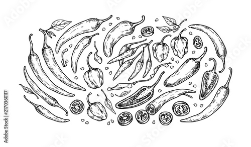 Fresh chili pepper and hot spice black white hand drawn sketch vector set