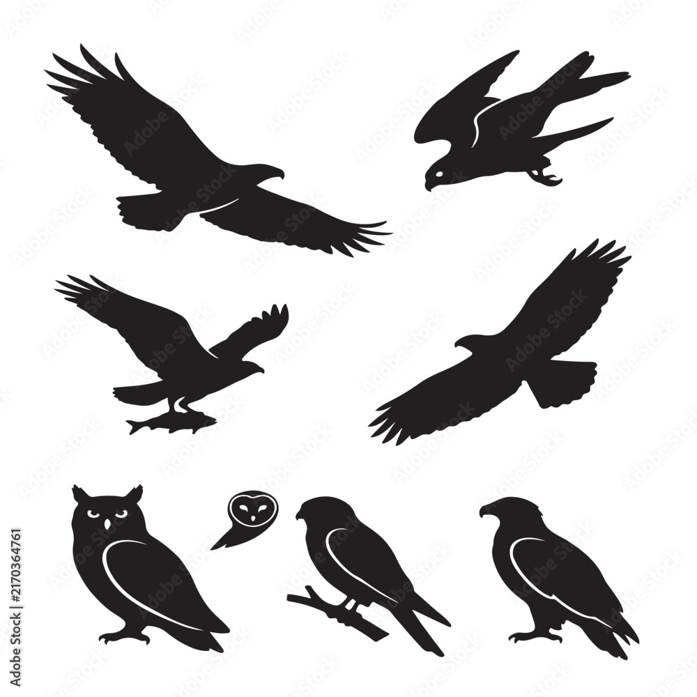 Fototapeta premium silhouettes of birds