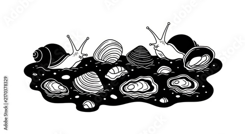 Foto Snails on a wet leaf surface.