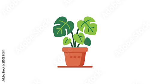 Monstera Plant In Terracotta Pot Icon - Flat Design
