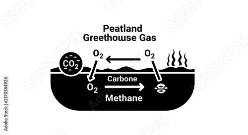 Fotografie Peatland greenhouse gas emissions diagram.