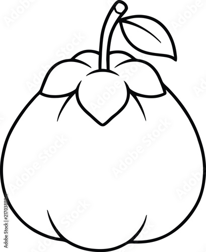 Mangosteen Fruit Line Art Icon, Black and White Outline Vector Illustration on White Background