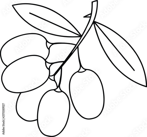 Olive Branch with Leaves Line Art Icon, Black and White Outline Vector Illustration on White Background