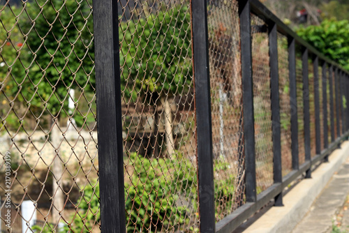 A black metal chain-link fence line stretches along a concrete border, with lush green foliage and trees softly blurred in the background.