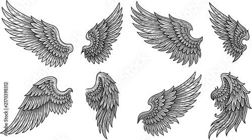 Detailed engraved angel wings set with vintage heraldic feathers for heraldry emblem tattoo art or corporate branding (17 words)