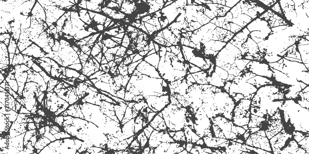 Fototapeta premium Intricate dark tree branches against a clean white background with a graphic abstract texture