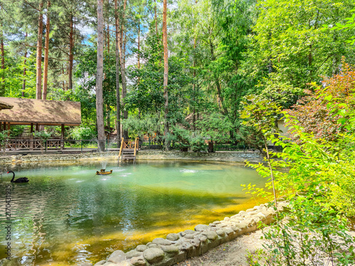Serene park hotel grounds with a tranquil pond and lush green forest surroundings