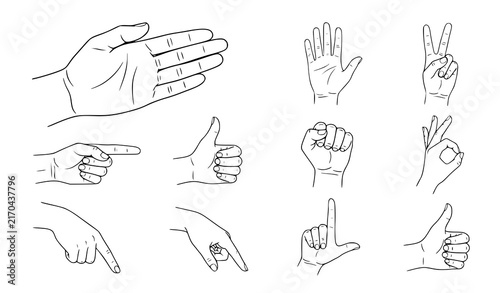 Hand Gesture Line Icon Set with Fist Pointing Thumbs Up and Peace Sign Sketch Vector Illustration