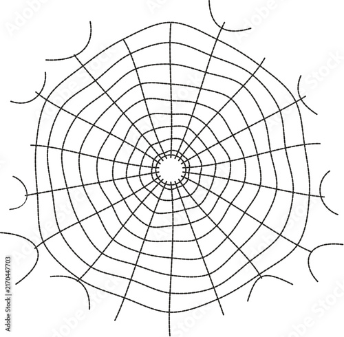 spider web vector