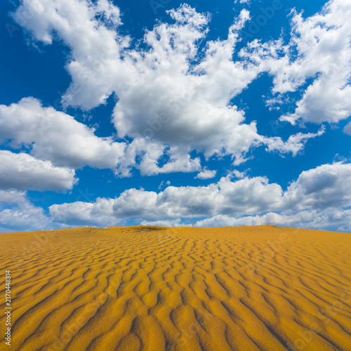 Fotografie wide sandy desert under a blue cloudy sky