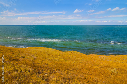 Canvas Print prairie on the sea coast under a blue cloudy sky at the summer day