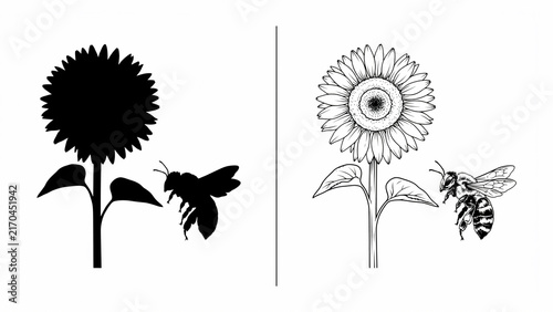 Black and white line art illustration of a blooming dandelion with seeds dispersing in the wind against a plain background dandelion seed head