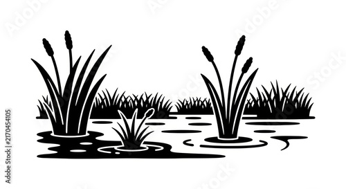 Fotografie Black and white cattail illustration.