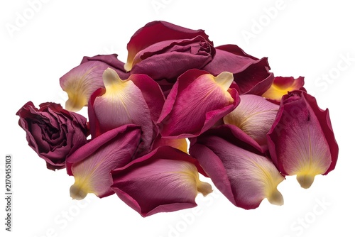 Dried red rose flower petals piled together on white background with burgundy