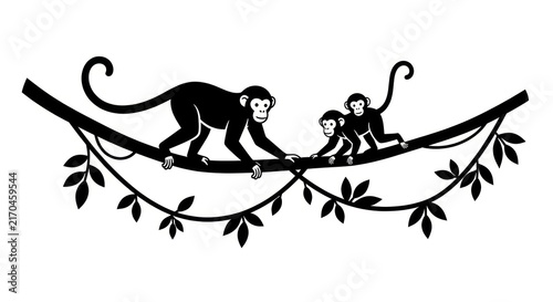 Photography Monkeys on a branch together.
