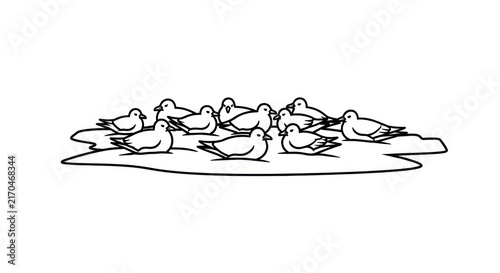 Fotografía Group of ducks on the water.