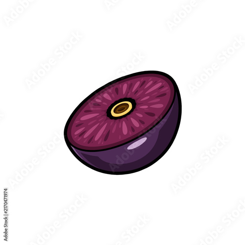fresh half acai berry fruit vector