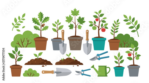 Collection of gardening plants pots and maintenance tools.