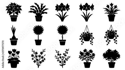 Collection of various potted houseplants and flower silhouettes.