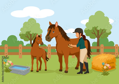 Horse care with woman, mare, foal, pasture, fence, trees and hay. For agriculture posters, cards, packaging, educational design. On light background.