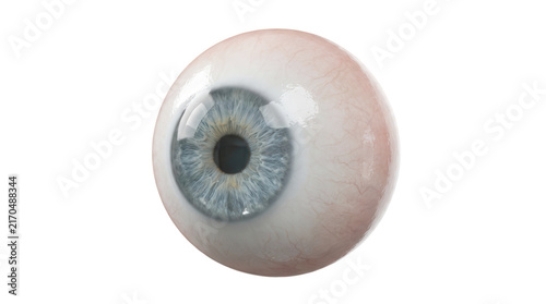 Fotografie Realistic human eye ball 3d render for medical ophthalmology and vision healthcare research