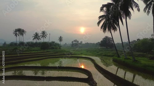 the beauty of the foggy morning panorama with sunrise and rice fields in Bengkulu, indonesia, asia
