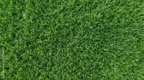 Lush green grass texture from above creating a vibrant natural background for summer concepts