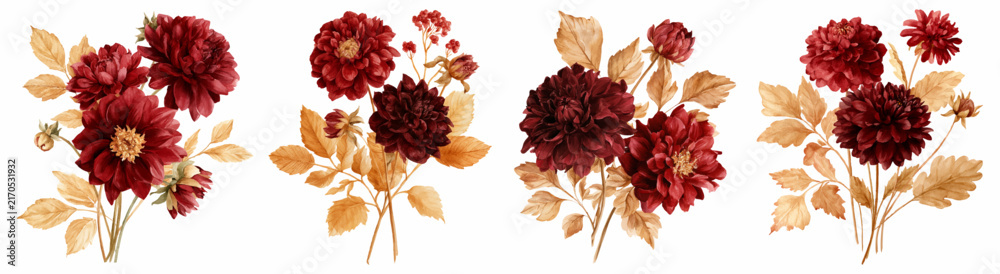 Obraz premium Autumnal dahlia flower bouquets featuring dark red and burgundy blooms with warm golden fall foliage, creating elegant watercolor botanical illustrations on a white background