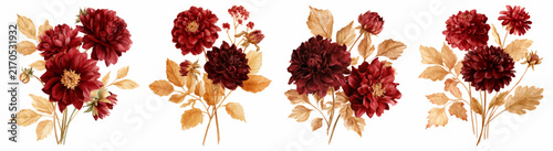 Autumnal dahlia flower bouquets featuring dark red and burgundy blooms with warm golden fall foliage, creating elegant watercolor botanical illustrations on a white background