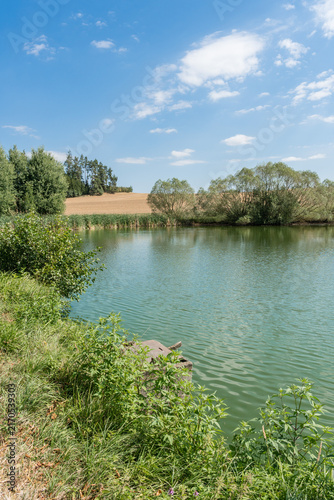 Fresh Pond in Summer Landscape