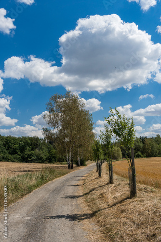 Dry Asphalt Road Through Parched Harvested Fields in Summer Heat