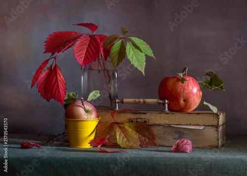 Still life with a ripe red apple and autumn leaves of wild grapes.