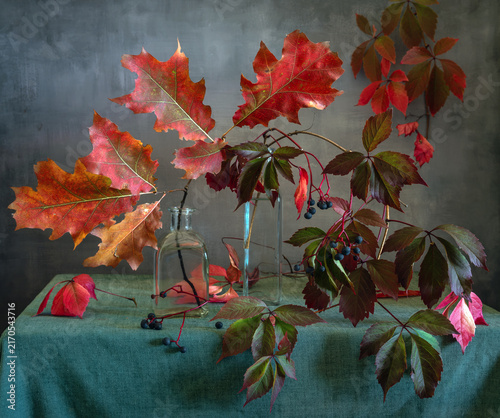 Still life with beautiful autumn oak leaves and wild grape branches with ripe black berries.